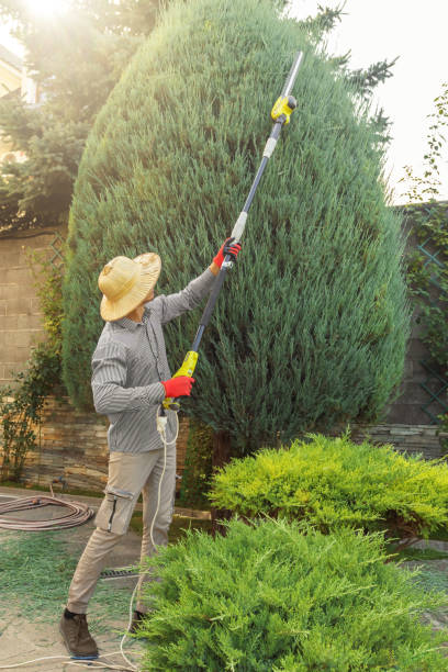 Best Weed Control Services  in Ruckersville, VA